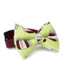 Minty Nutella Dog Bow Tie