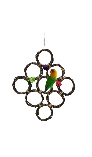 Parrot Swing Hanging Net