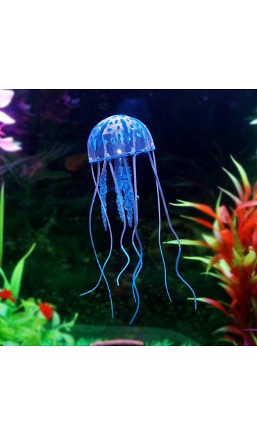Fluorescence Jellyfish...