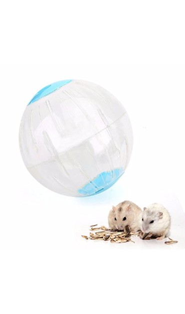 Gerbil Exercise Ball