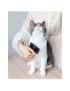 The Effective Care Pet Brush