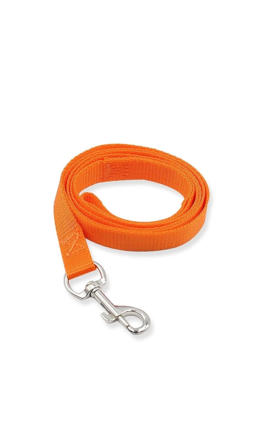 Metal Clip Collar Seat Belt
