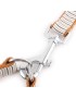Dog Stripe Buckle Belt