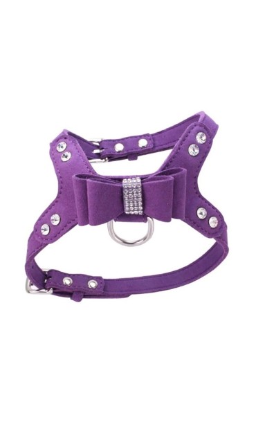 Leather Leash Dog Harness