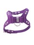 Leather Leash Dog Harness