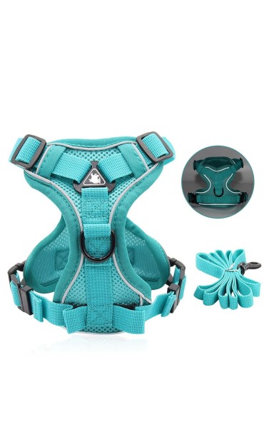 Perro Puppies Walking Harness