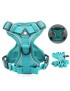 Perro Puppies Walking Harness