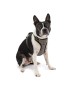 Impact Harness For Dog