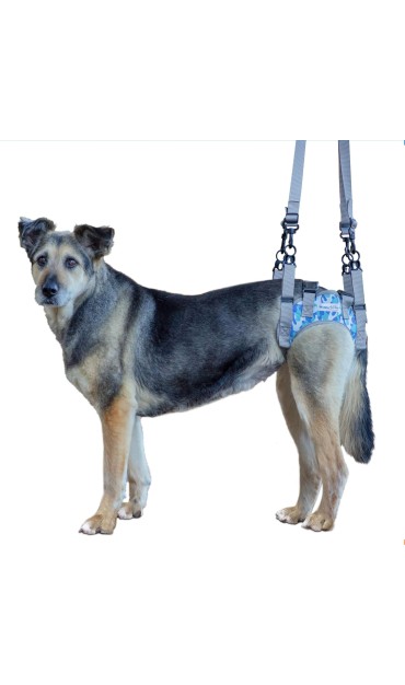 Adjustable Handles Dog Harness