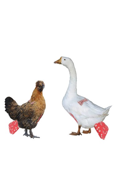 Duck Chicken Reusable Diapers