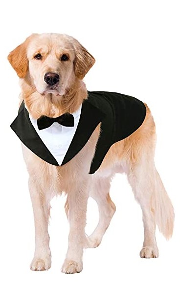 Dogs Wedding Party Suit
