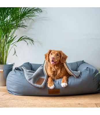 Creating a Safe and Pet-Friendly Home: Must-Have Products and Tips