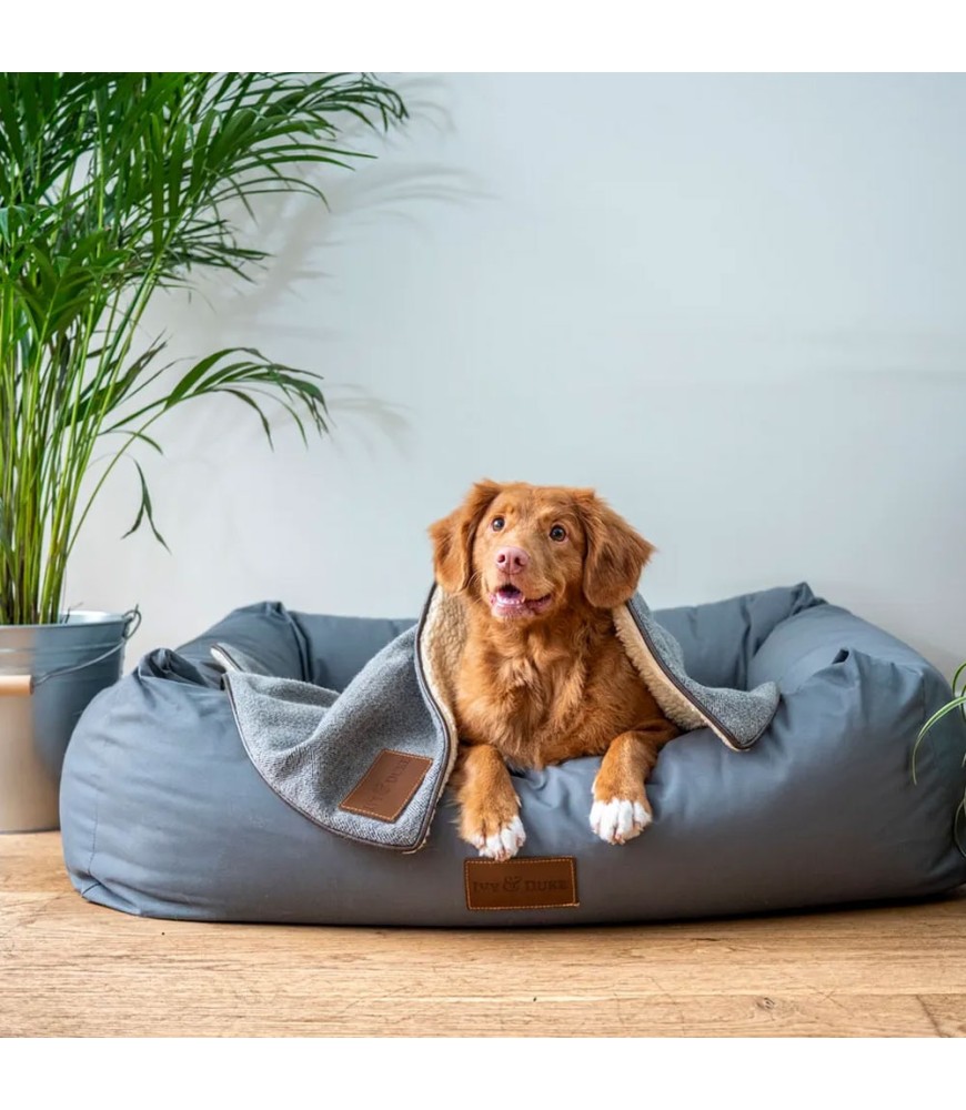 Creating a Safe and Pet-Friendly Home: Must-Have Products and Tips